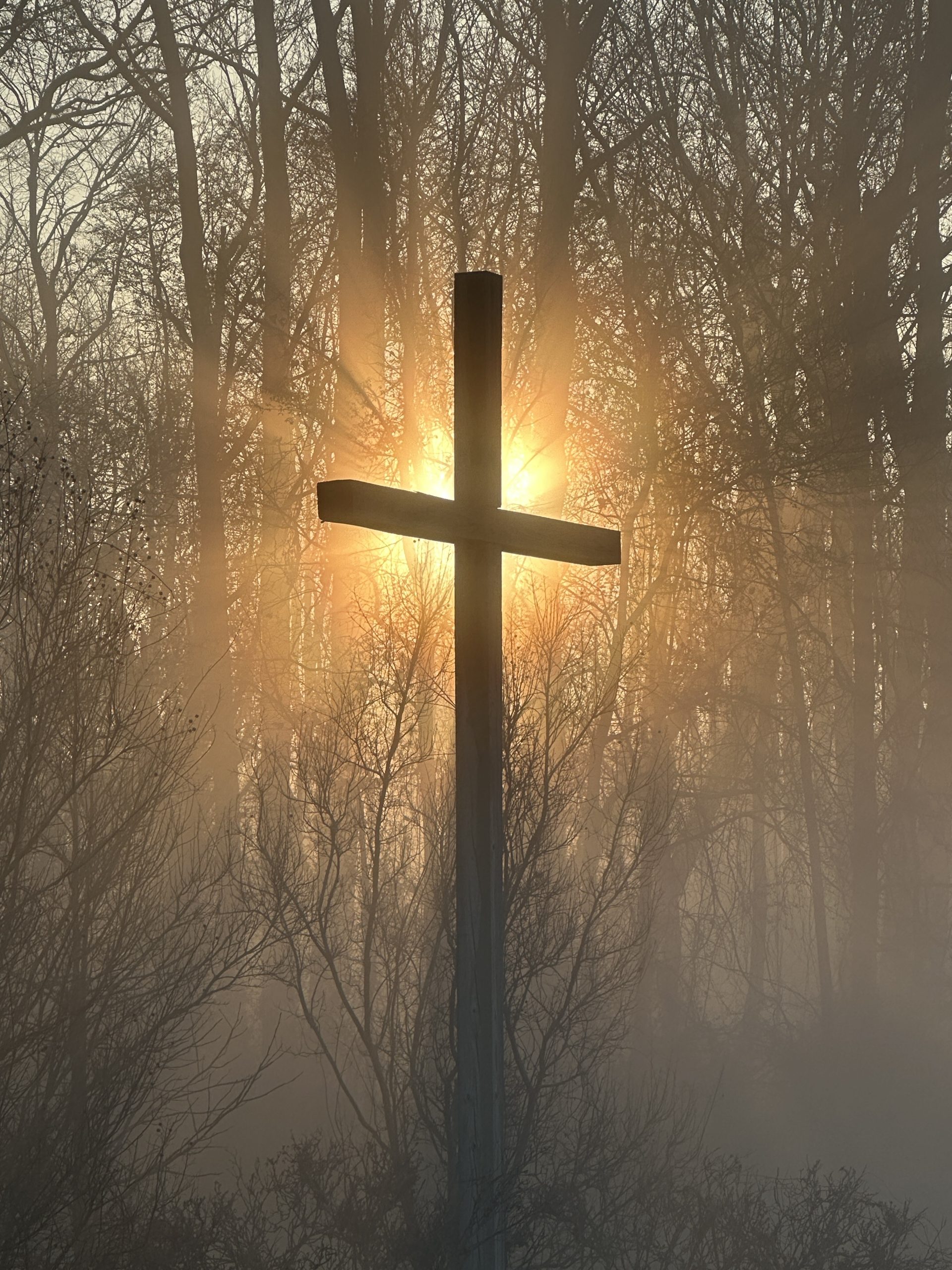 Overcomer Cuts